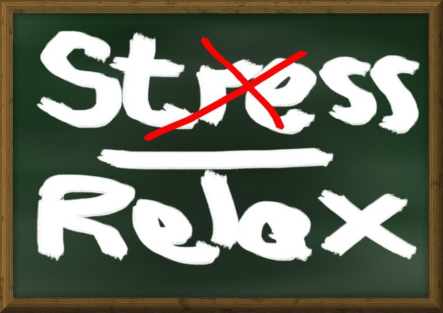 stress-391659_1280.jpg