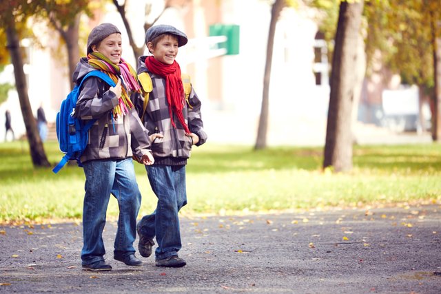 brothers-going-school-together (1).jpg