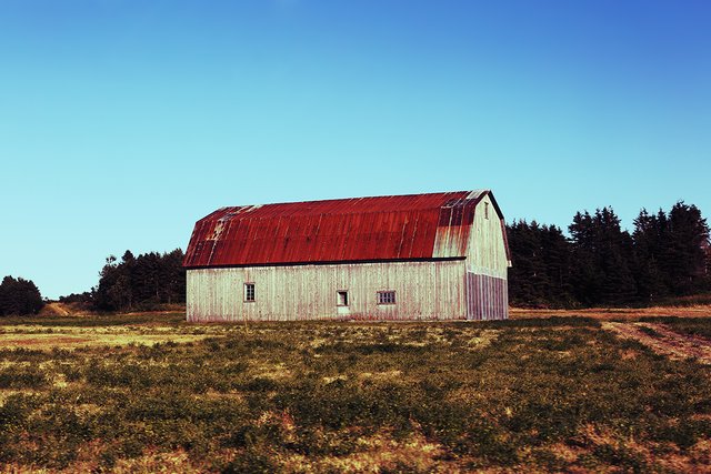 barn3.jpg