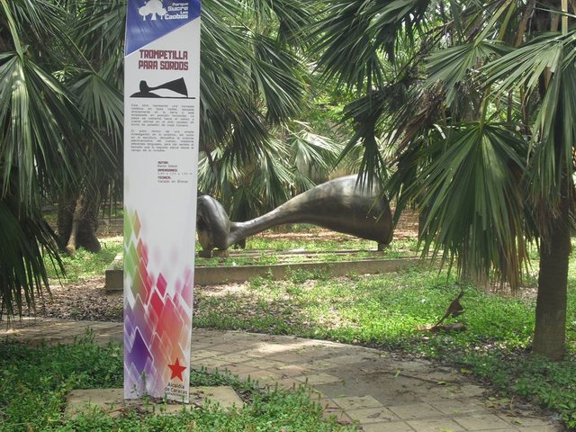 CIMG0052.JPG