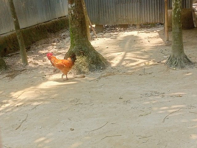 IMG20250609110659.jpg