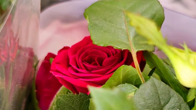 20250728_195000.jpg