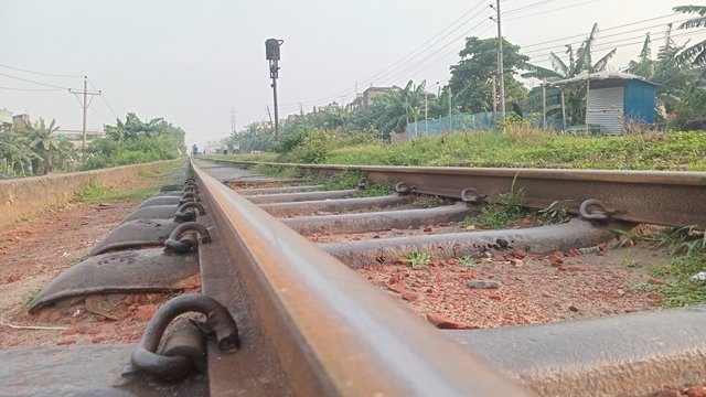 1000045212.jpg