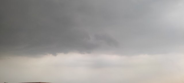IMG_20250718_153232.jpg