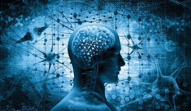 human-brain-brain-thinking-concept-3d-illustration-shutter.jpg