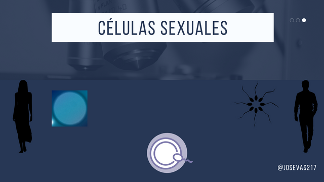 células.png