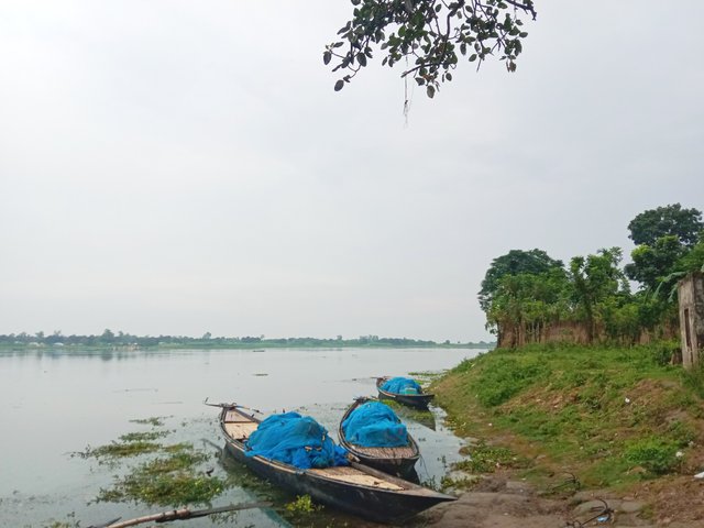 IMG_20250924_100214.jpg