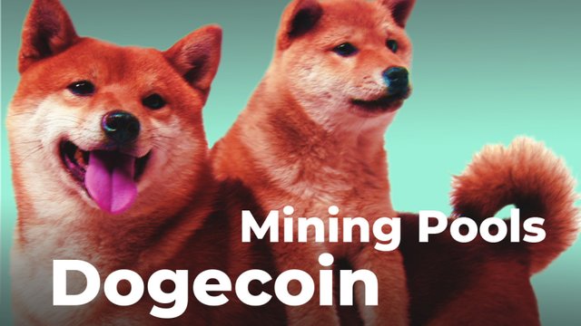 181. Dogecoin Mining Pools - Is It Worth It.jpg