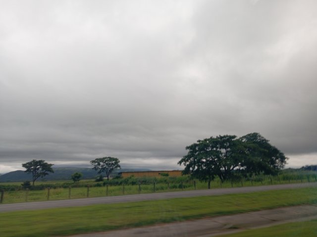 1000099138.jpg
