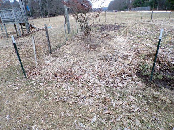 Big garden - 3rd section fence to be cleared crop February 2020.jpg