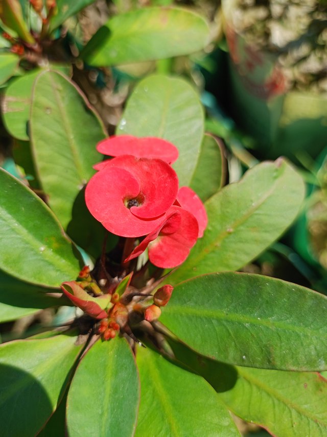 IMG20241120111419.jpg