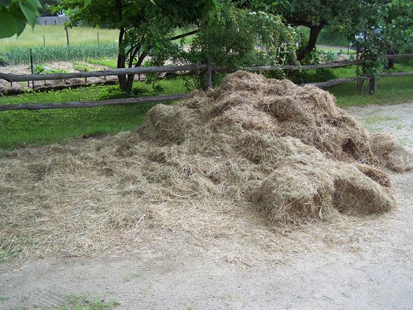 Mulch pile crop June 2018.jpg