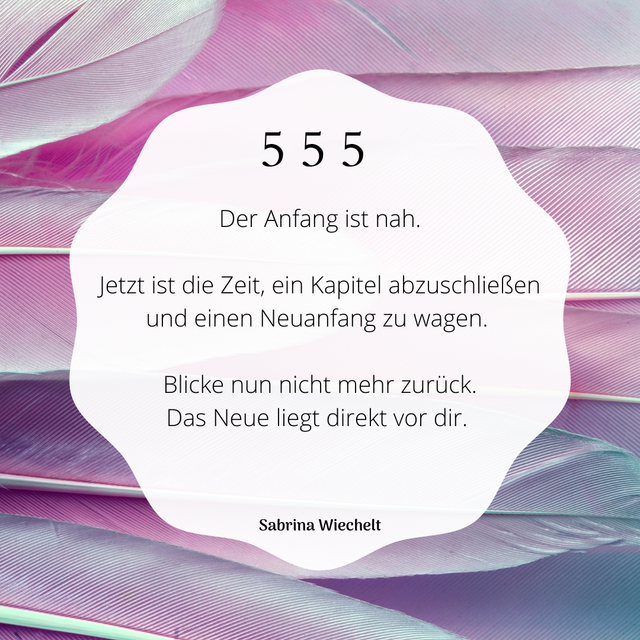 Kopie von Kopie von Kopie von Kopie von Kopie von Kopie von Kopie von 555_2024.png