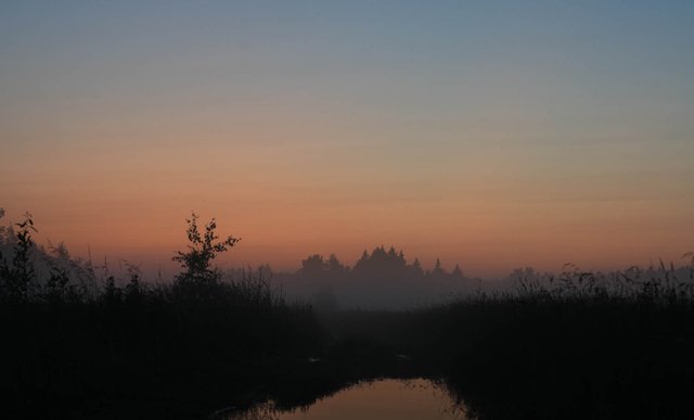 DSC00747.jpg