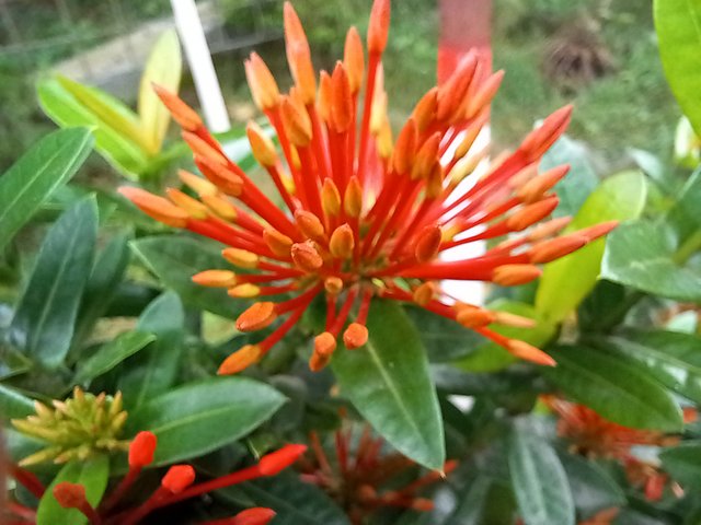 20250619_120740.jpg