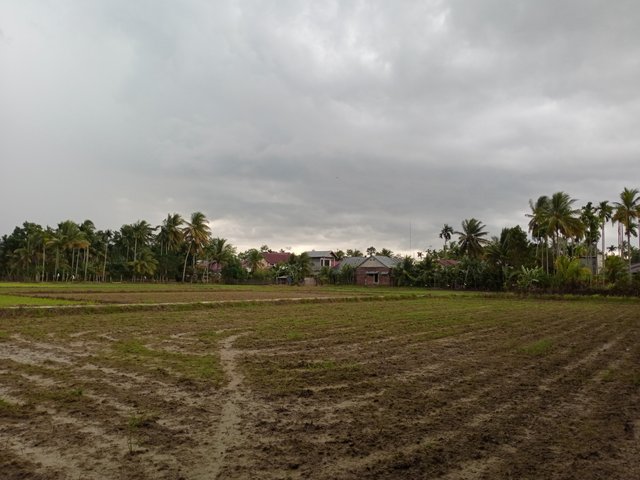 IMG20250708173516.jpg