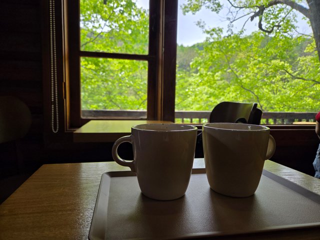 20250506_111152.jpg