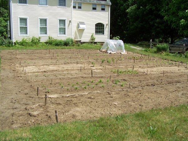 New Herb garden - all planted3 crop June 2016.jpg