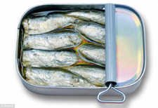 sardine can.jpg