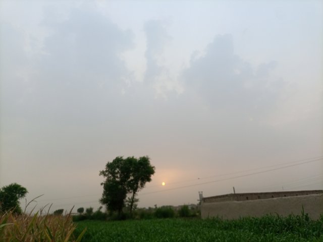 IMG_20250623_183742_517.jpg