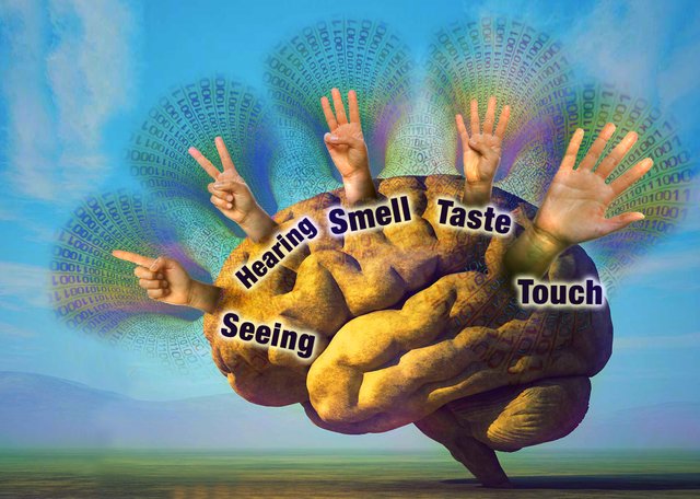 BRAIN.REALITY.jpg