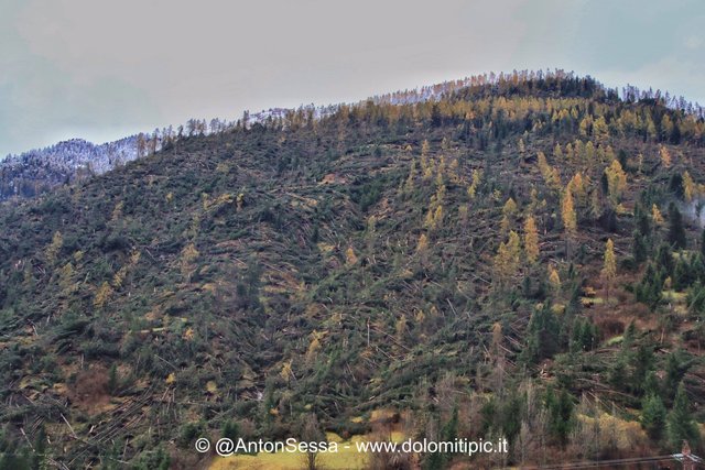 la_tempesta_perfetta_dolomiti2.jpg