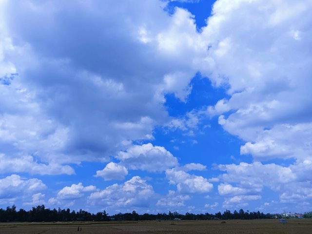 IMG_20250720_222940.jpg