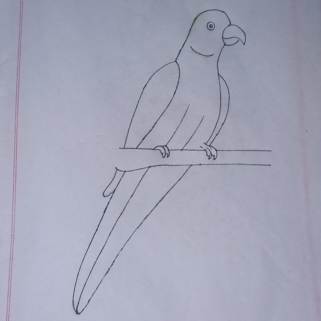 20250708_115927.jpg