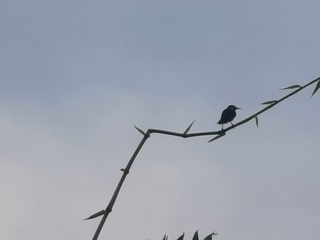 IMG_20240825_175345.jpg