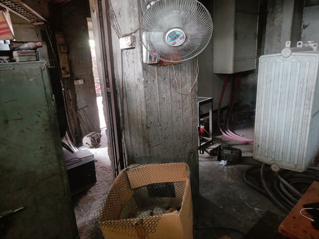 IMG20250518120849.jpg