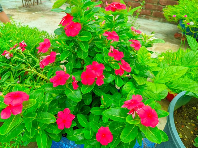 LMC_20250523_121546_ðColor boost By Expert Mistry.jpg