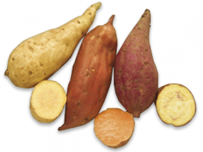 kumara.png