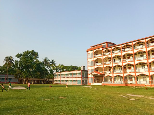IMG_20250429_203301.jpg
