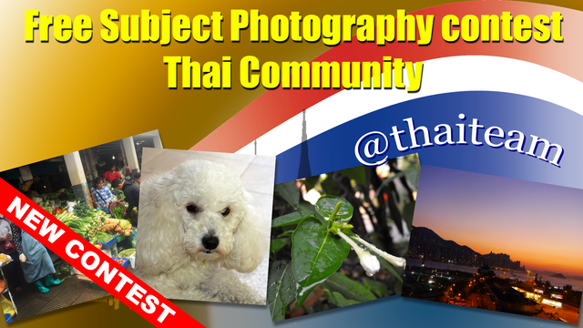 Free Subject Photography contest.png