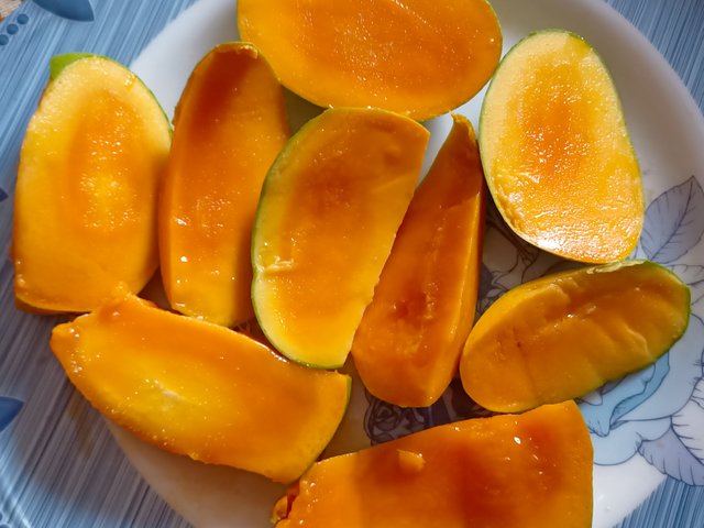 IMG20250630124837.jpg