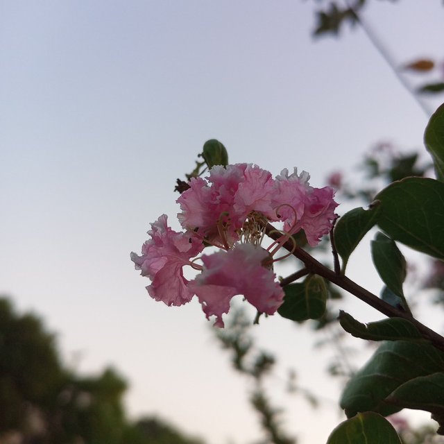 IMG_20250930_184512_902.jpg