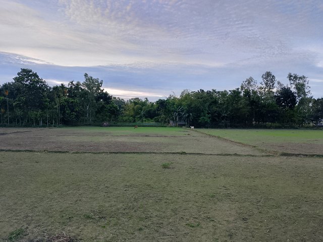 1000043271.jpg