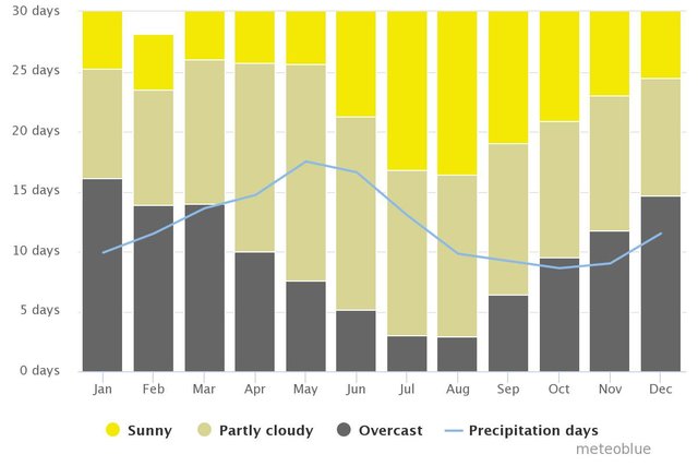 chart (4).jpeg