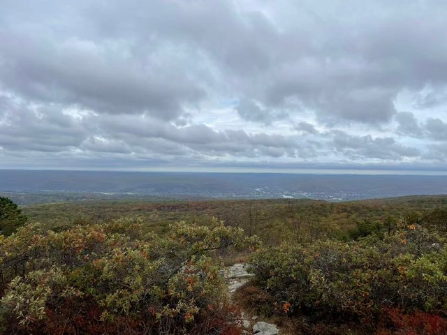 5077473e9fbe4d3fa434