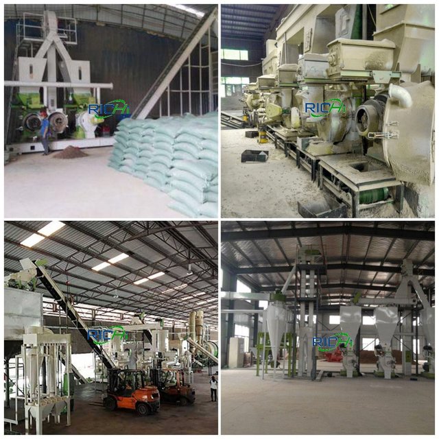 how to start 10tph wood pellet factory.jpg