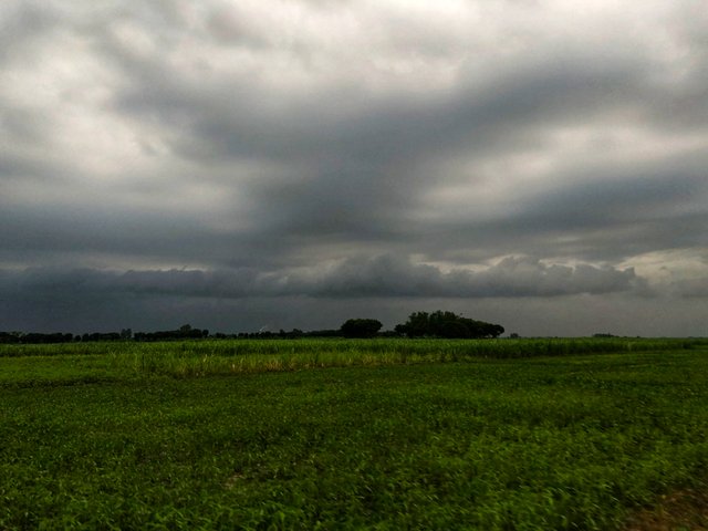 IMG_1988-01.jpeg