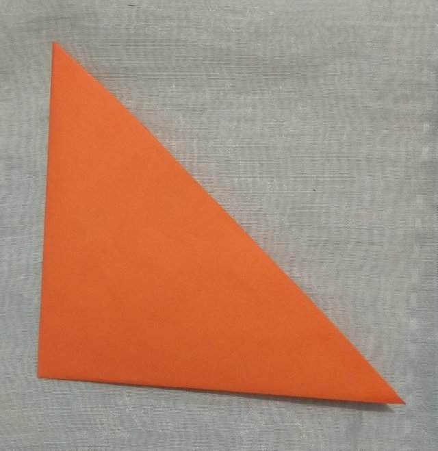 o17.jpg