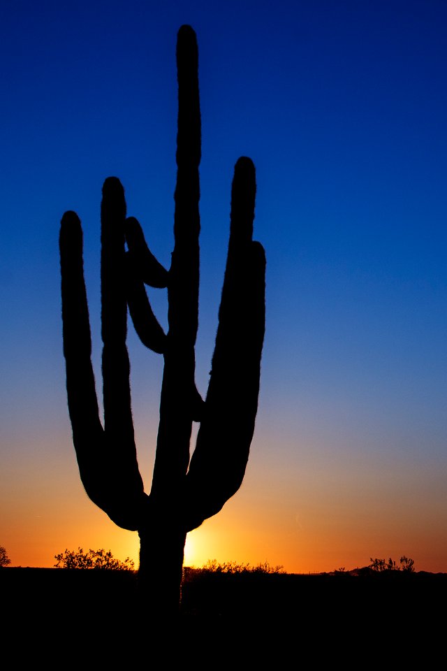 Arizona Sunset.jpg