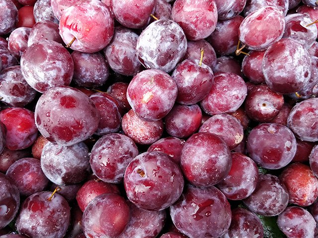 Falsa-Phalsa-Grewia-asiatica-2.jpg