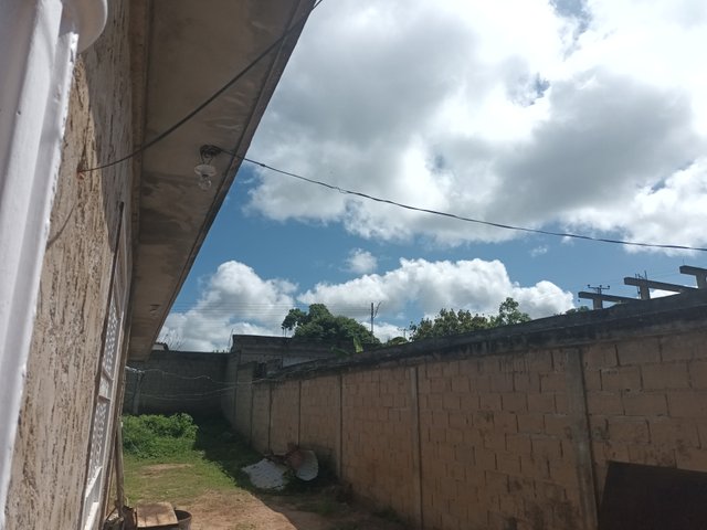 20250730_160748.jpg