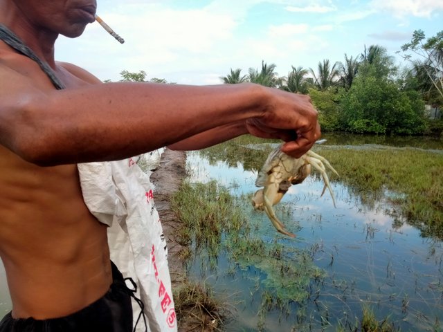 IMG20250717175809.jpg