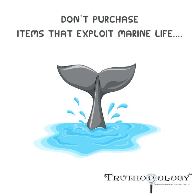 Marine Life.jpg