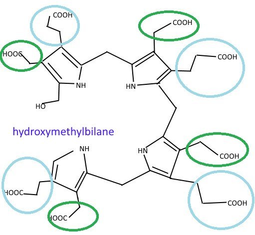 hydroxymethylbilane2.jpg