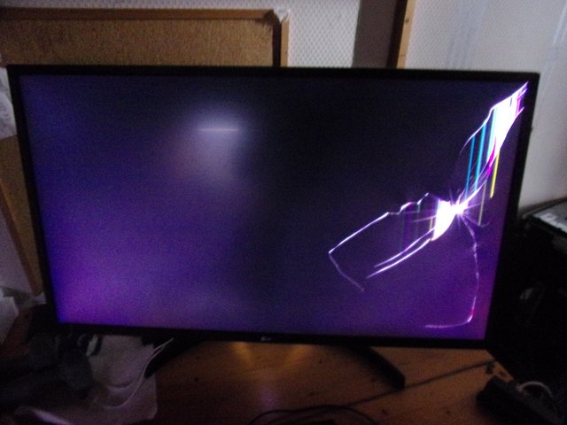 100_2728.JPG