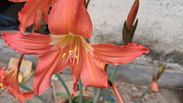 20240319_121411.jpg